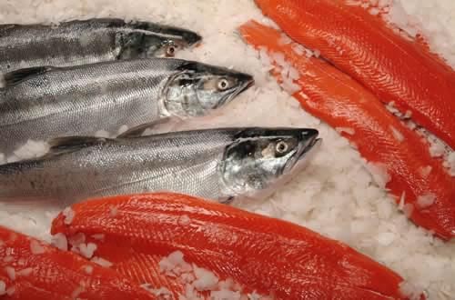 pescadocongelado.jpg